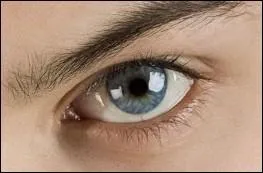 À qui appartient cet il ?