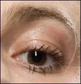 À qui appartient cet il ?