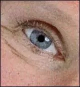 Et à qui appartient cet il ?