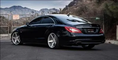 Voici un modèle de très haut de gamme que Mercedes a fabriqué ; de quel modèle s'agit-il sur l'image ?