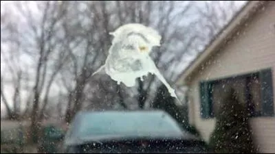 Victoria Beckham utilise une singulière crème de beauté qu'elle s'étale soigneusement sur le visage : des crottes de pigeon.