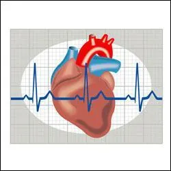 Il existe une application pour vérifier son rythme cardiaque.