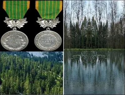 Cette décoration récompense les personnels :