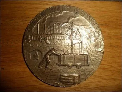 Il s'agit de la médaille des mines de Bessèges. Où se trouvent les galeries qui connurent une catastrophe en 1861, et dont Hector Malo s'inspira pour le roman "Sans famille" et le personnage de Rémi ?
