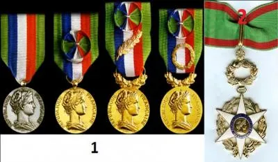 Quelles médailles servent à honorer l'ancienneté des salariés pour services passés dans le secteur agricole ou les industries ?