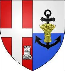 Ce blason appartient à une ville de la région Rhône-Alpes. Surnommée le Carrefour des Quatre Vallées, elle a accueilli les Jeux Olympiques d'hiver en 1992. Je parle bien sûr de la ville ...