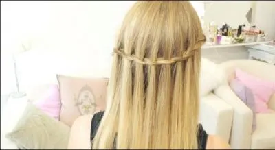 Comment s'appelle cette coiffure ?