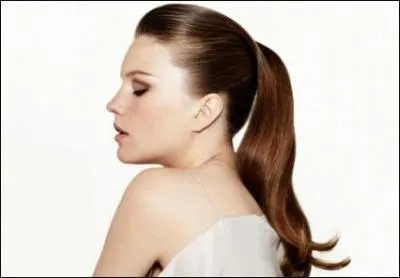 Tout le monde connaît cette coiffure, sont nom est ....