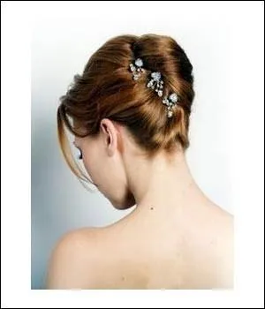 Comment s'appelle cette coiffure ?