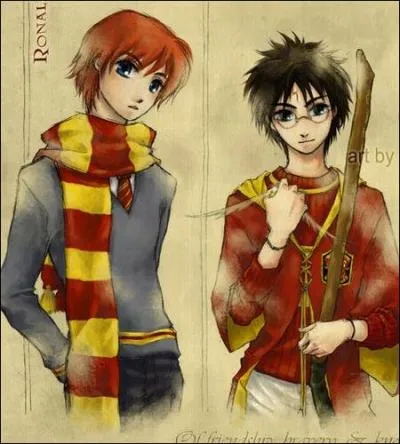 Une robe de sorcier hiver est vendue 37, 50 Gallions. Or, quelques semaines plus tard, lors des soldes de janvier, elle ne coûte plus que 30 Gallions. De combien le prix a-t-il baissé ?