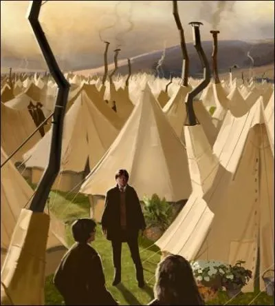 Mr. Roberts constate que sur le nombre de campeurs présents, 50 ont plus de 50 ans, 1/4 ont moins de 20 ans et 1/3 ont entre 20 et 25 ans. Quel est le nombre de campeurs présents ?