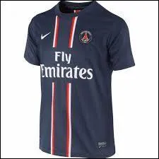 À cette époque le PSG était entraîné par Carlo Ancelotti. Ils ont fini 1er. Quelle était la saison où le PSG portait ce maillot ?