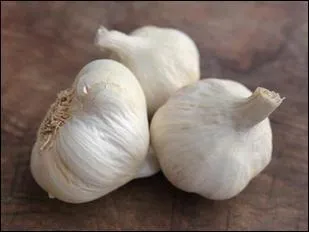 Donnez moi le pluriel de ce que vous voyez sur cette photo :