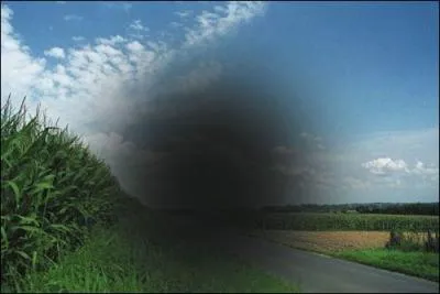 Quelle est la proposition qui correspond à l'illustration ?