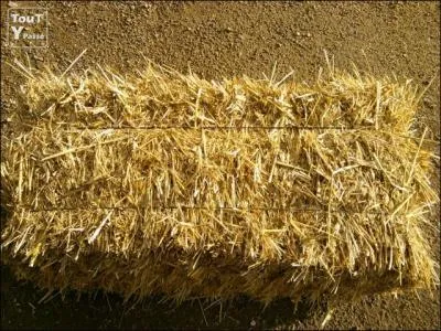 Quelle est la proposition qui correspond à l'illustration ?