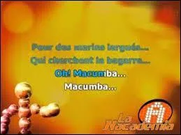 "Disparue" a été son premier succès en 1984 suivi de "Macumba" en 1985. Donnez-moi son nom.