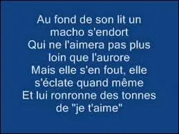 Quel est ce groupe qui nous a interprété "Femme libérée" en 1984 ?