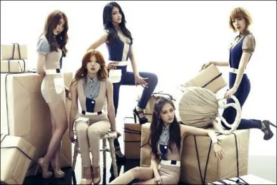 3 membres de 4Minute ont été trainees chez JYP Entertainment.