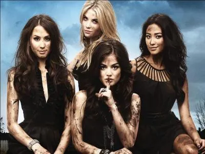 Quelle est cette série ?