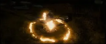 Oh là là, le Terrier a brûlé ! Mais ceci, c'est dans le film. Et dans le livre, vous en dites quoi ?