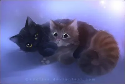 Combien ont-ils de petits ?