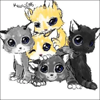 Comment se nomment-ils ?