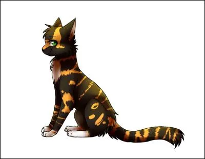 Quand il est arrivé à sa destination, comment s'appellent les deux chatons qu'ils rencontrent ?