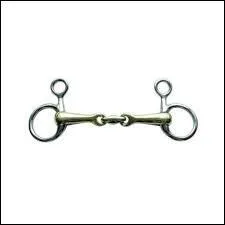 Quel est ce type d'embouchure ?