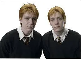 Lequel des deux meurt à la bataille de Poudlard ?