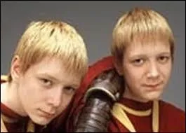 À quel poste jouent-ils au Quidditch ?