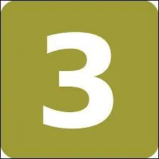 Qui est arrivé troisième ?