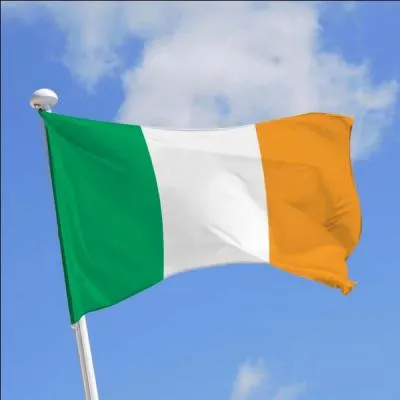 Lequel de ces pays possède la couleur orange sur son drapeau ?