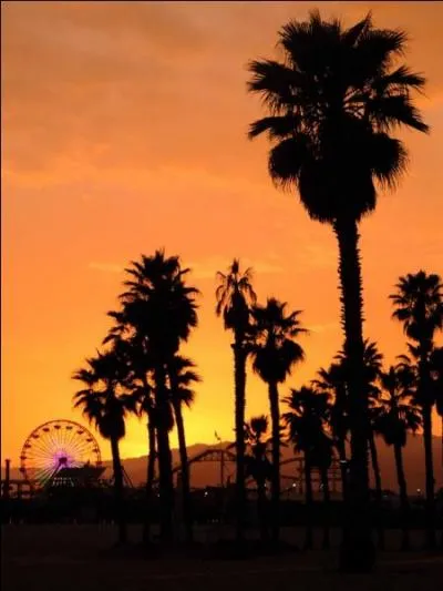 On est devenu un vrai niçois, quand on sait que la Californie...