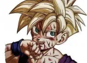 Quiz Toujours prts pour le combat !