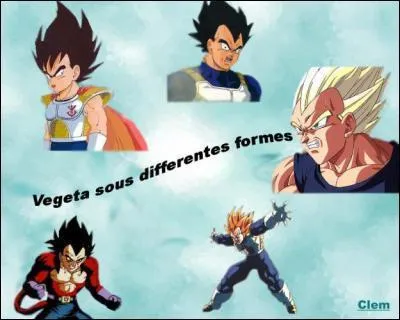 Qui est Vegeta ?