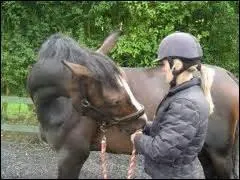 Comment en obtenir une ?