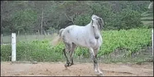 Quelles sont les aides artificielles ?