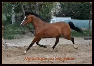 Quelles sont les aides complémentaires ?