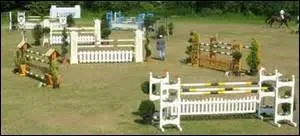 Lequel n'est pas un nom d'obstacle ?