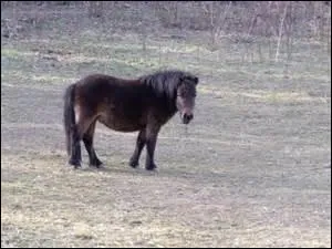 Le principe de l'approche-retrait consiste en quoi ?
