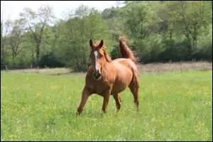 Comment renforcer cette démarche ?