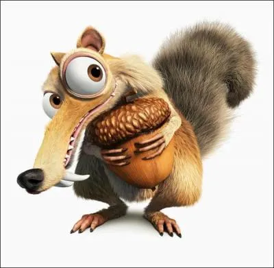 Comment s'appelle cet écureuil ?