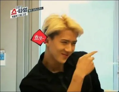 Je suis un des mots utilisés par Sehun dans Exo Showtime, je viens de son vocabulaire étrange, et je suis utilisé pour signifier que je suis joyeux (Happy), je suis...