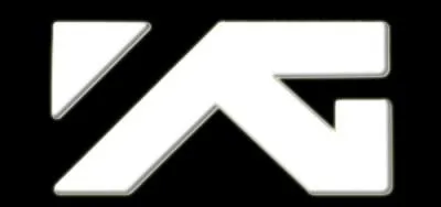 Je devais débuter dans un groupe de chez YG Entertainment, aujourd'hui je fais partie d'un groupe de 6 membres et je fais partie d'un duo nommé Troublemaker, je suis...