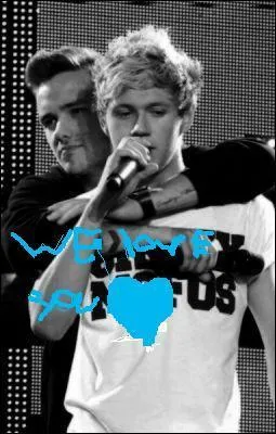 Comment s'appelle leur bromance ?