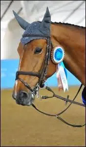 Comment s'appellent les principaux chevaux de Patrice Delaveau ?