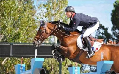En avril 2014, à quelle place du classement mondial d'équitation Patrice Delaveau était-il ?