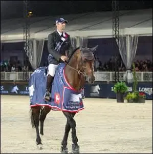 Aux Jeux équestres mondiaux de 2014, quel cheval était monté par Patrice Delaveau ? 