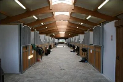 Dans quel haras monte Patrice Delaveau ?