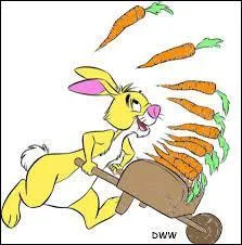 Qui aime les carottes ?